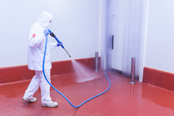 Best Roof Washing  in Rhome, TX